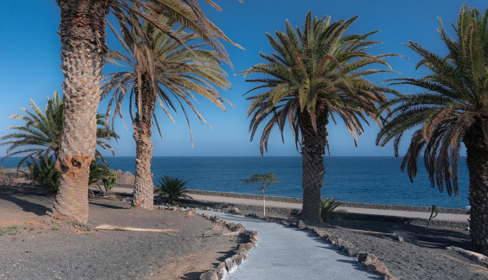 Luxury Apartamento Luz De Mar Complejo Playa Roca Costa Teguise Dış mekan fotoğraf