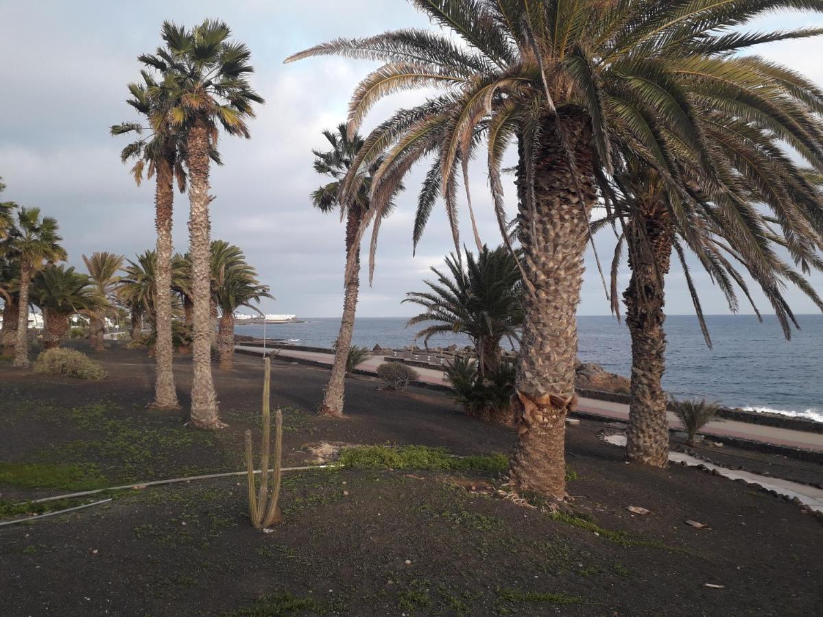 Luxury Apartamento Luz De Mar Complejo Playa Roca Costa Teguise Dış mekan fotoğraf